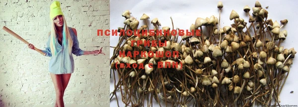 ALPHA-PVP Алексин
