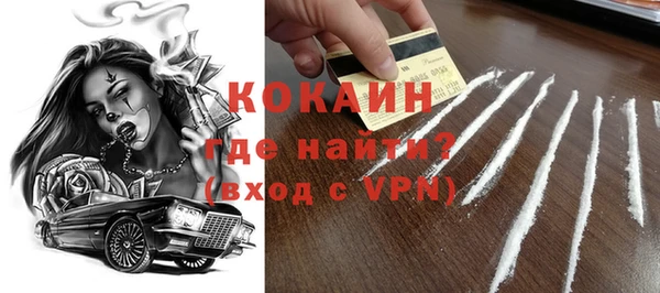 индика Михайловск