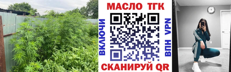 купить наркотики сайты  Павловская  ссылка на мегу   Дистиллят ТГК THC oil 