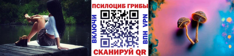 Галлюциногенные грибы Psilocybine cubensis  Павловская 
